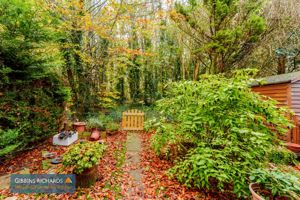 Front Garden- click for photo gallery